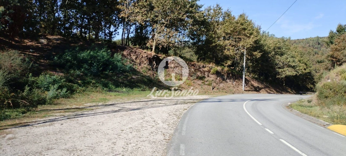 Terreno Agricola ou Rústico para Venda em Moreira do Rei e Várzea Cova Foto 9