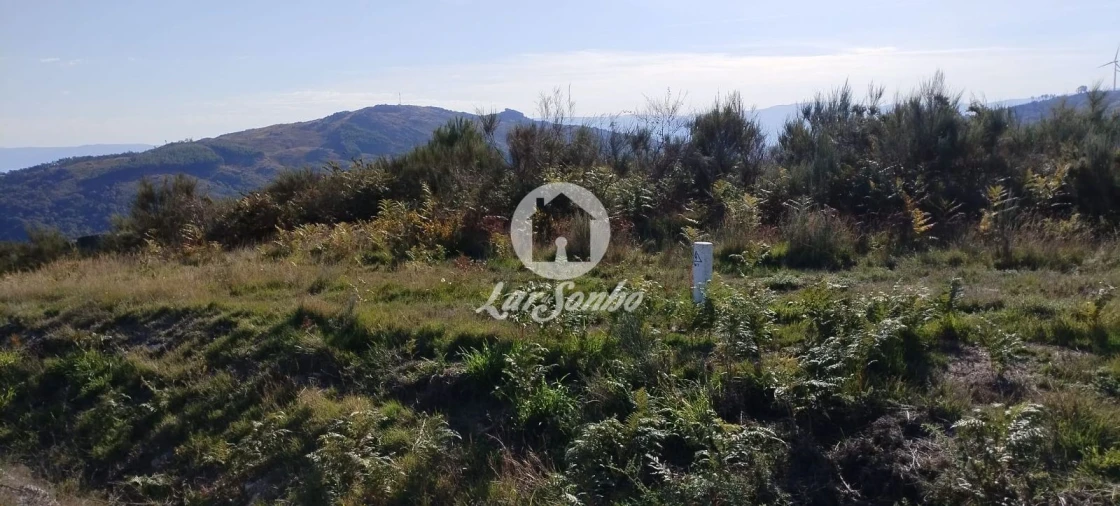 Terreno Agricola ou Rústico para Venda em Moreira do Rei e Várzea Cova Foto 6