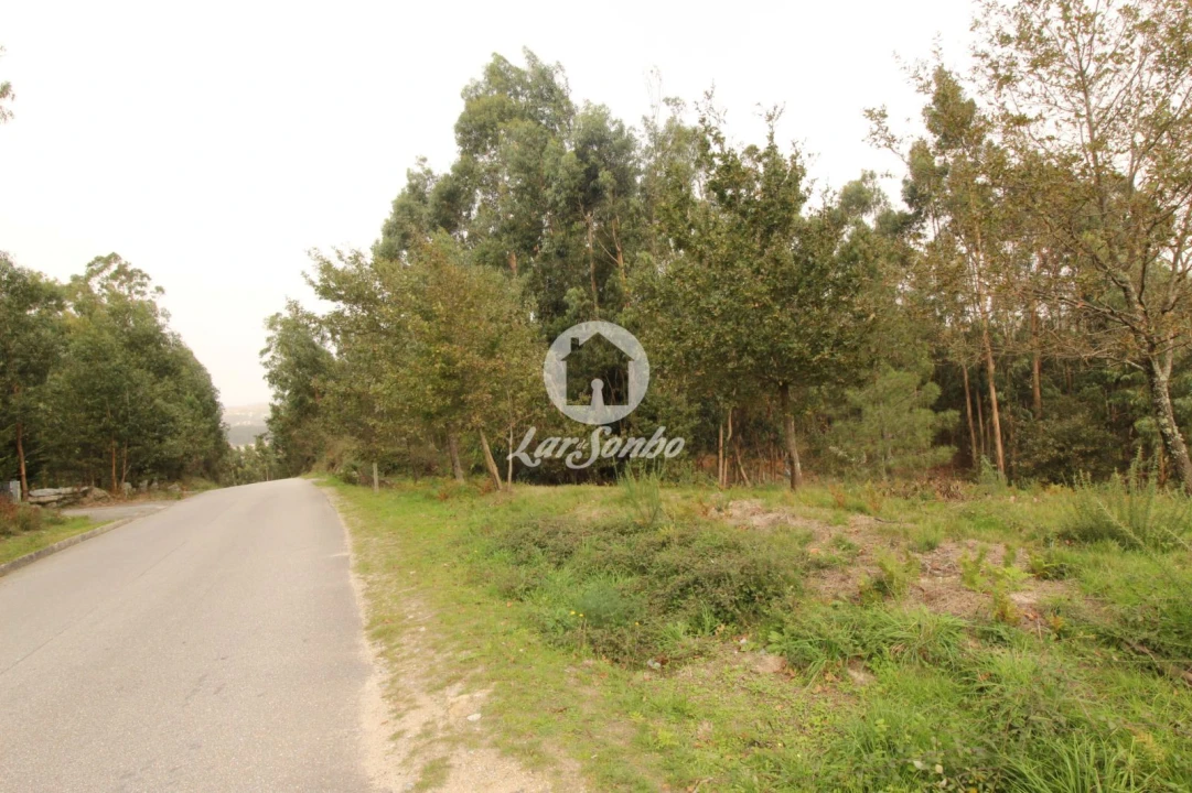 Terreno Agricola ou Rústico para Venda em São Gens Foto 3