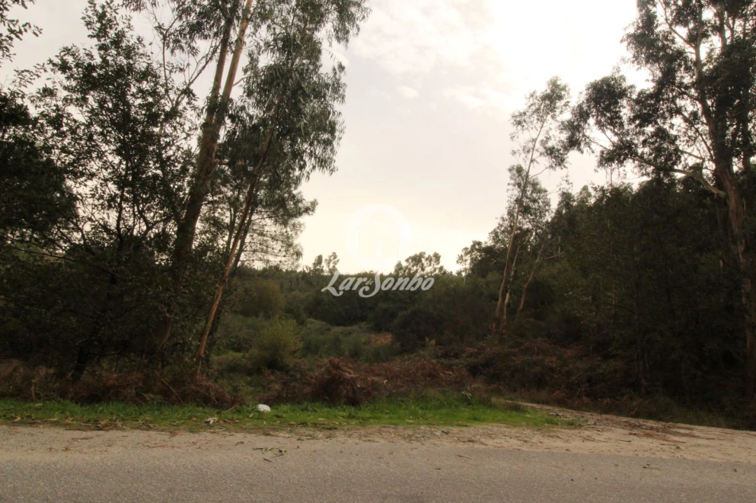 Terreno Agricola ou Rústico para Venda em São Gens Foto 2