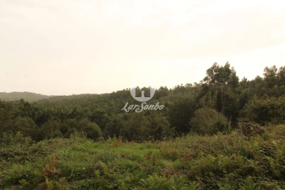 Terreno Agricola ou Rústico para Venda em São Gens