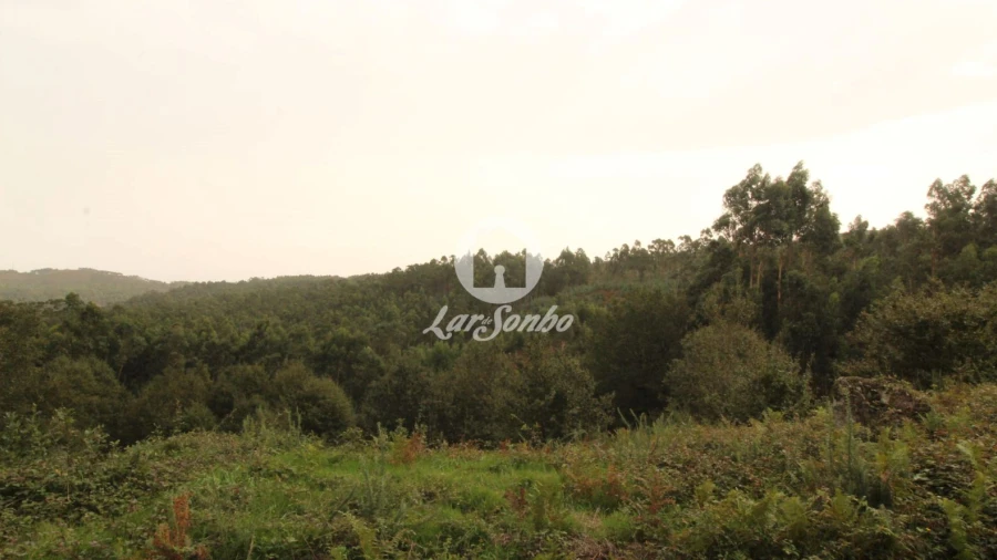 Terreno Agricola ou Rústico para Venda em São Gens