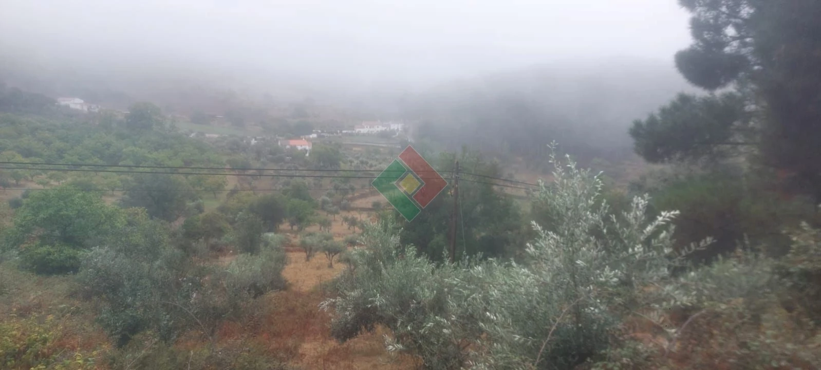 Terreno Agricola ou Rústico para Venda em São Salvador da Aramenha Foto 6