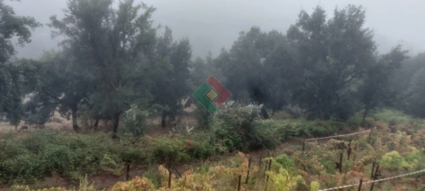 Terreno Agricola ou Rústico para Venda em São Salvador da Aramenha