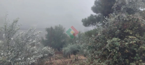 Terreno Agricola ou Rústico para Venda em São Salvador da Aramenha