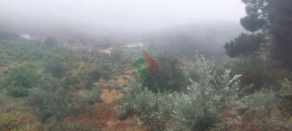 Terreno Agricola ou Rústico para Venda em São Salvador da Aramenha Foto 6