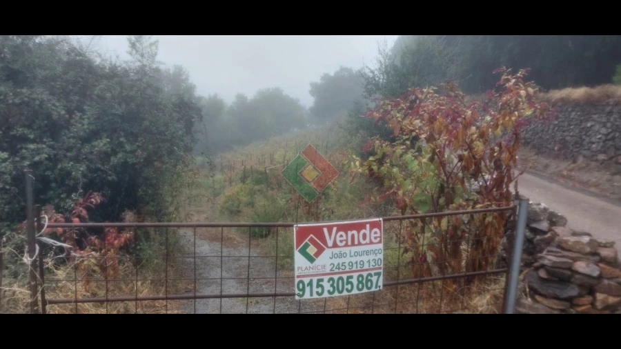 Terreno Agricola ou Rústico para Venda em São Salvador da Aramenha