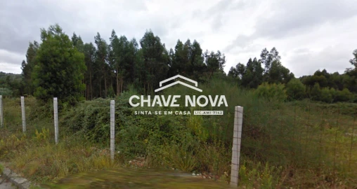 Terreno para Venda em Santa Maria da Feira, Travanca, Sanfins e Espargo