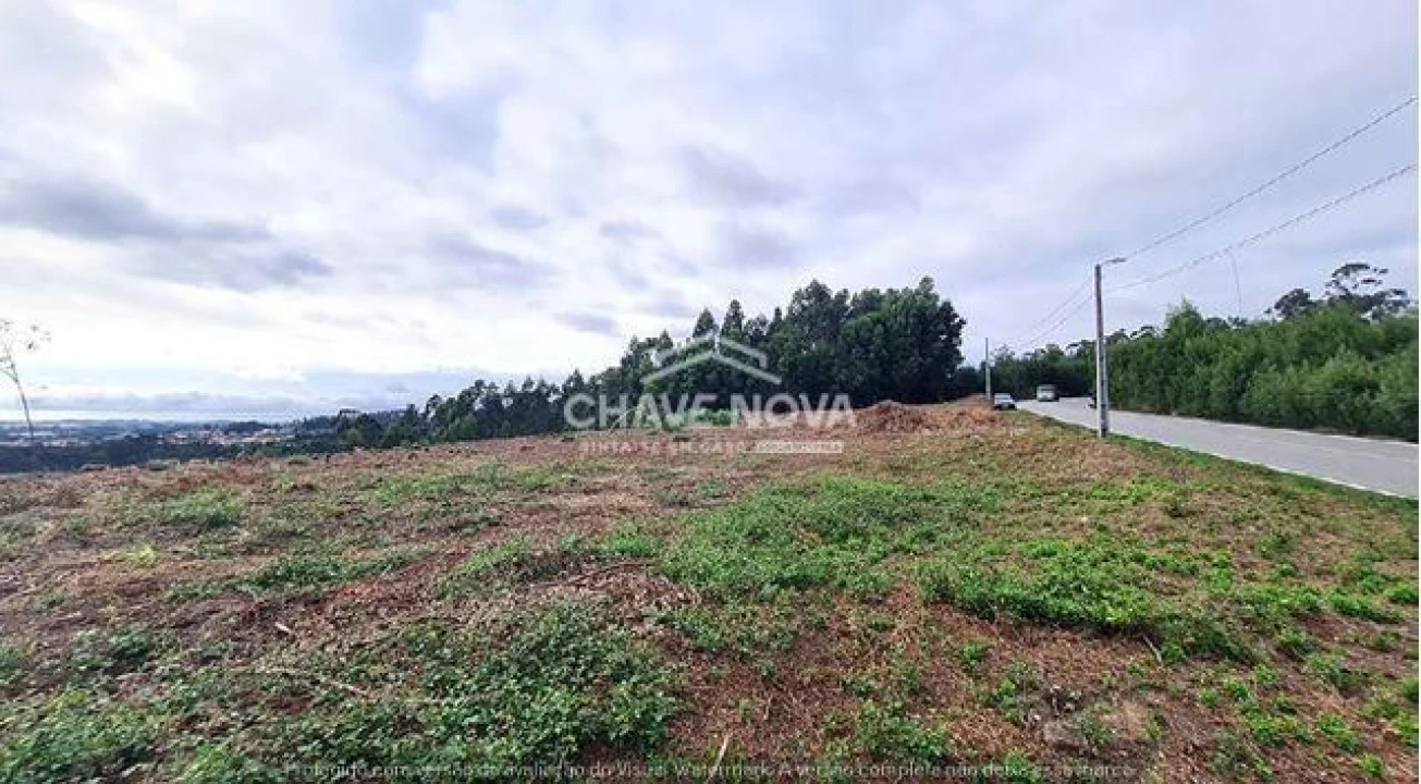 Terreno Agricola ou Rústico para Venda em Santa Maria da Feira, Travanca, Sanfins e Espargo Foto 1