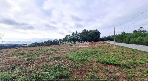 Terreno Agricola ou Rústico para Venda em Santa Maria da Feira, Travanca, Sanfins e Espargo