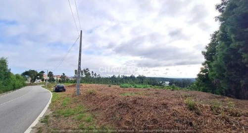 Terreno Agricola ou Rústico para Venda em Santa Maria da Feira, Travanca, Sanfins e Espargo
