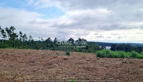 Terreno Agricola ou Rústico para Venda em Santa Maria da Feira, Travanca, Sanfins e Espargo