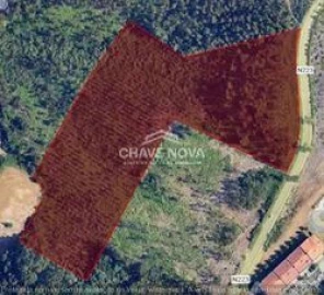 Terreno Agricola ou Rústico para Venda em Santa Maria da Feira, Travanca, Sanfins e Espargo