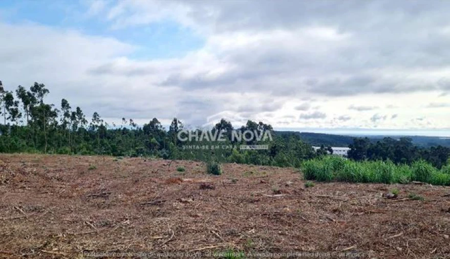 Terreno Agricola ou Rústico para Venda em Santa Maria da Feira, Travanca, Sanfins e Espargo Foto 2