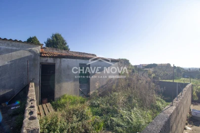 Negócio para Venda em Madalena