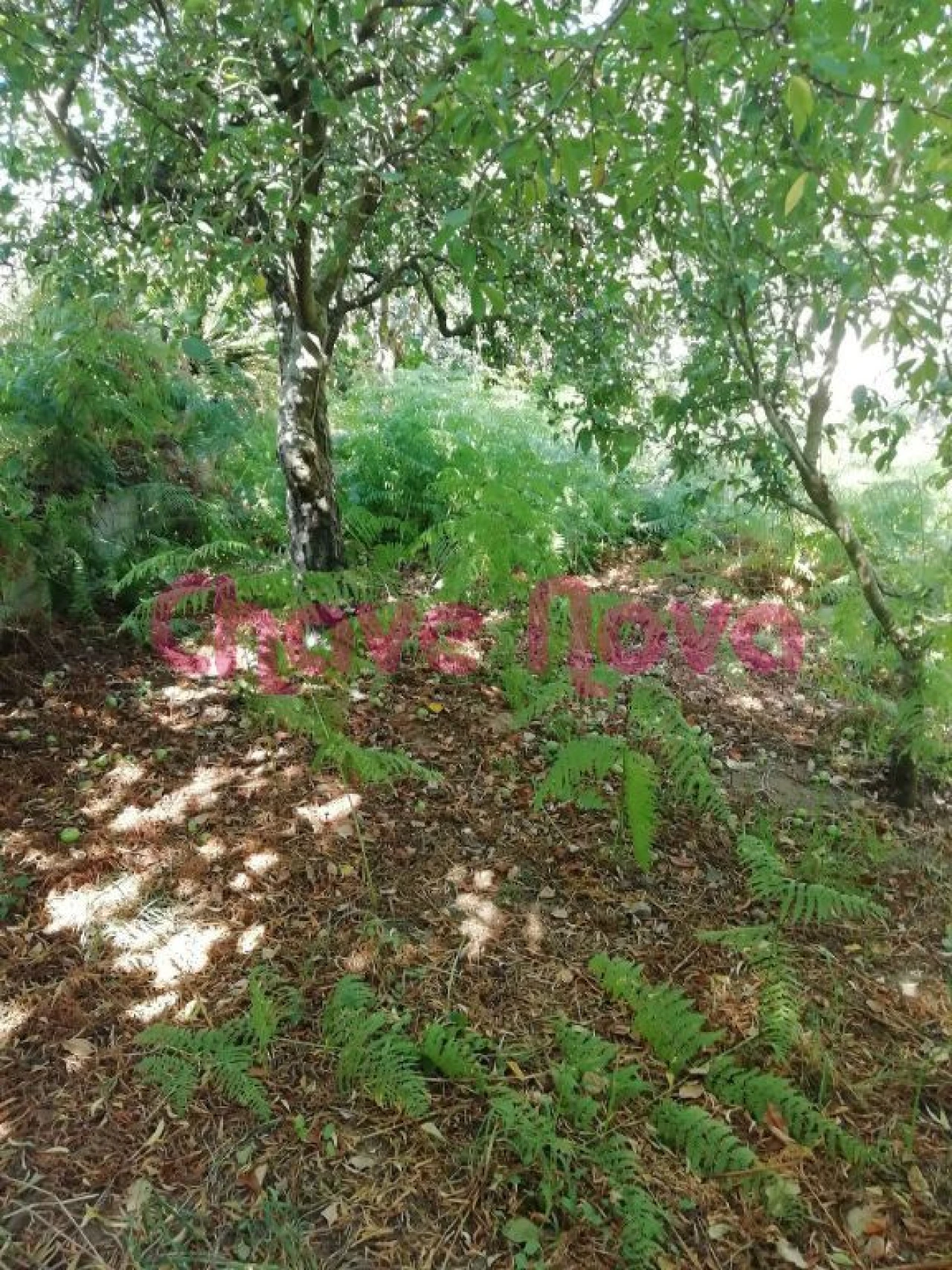 Terreno para Venda em Avintes Foto 1