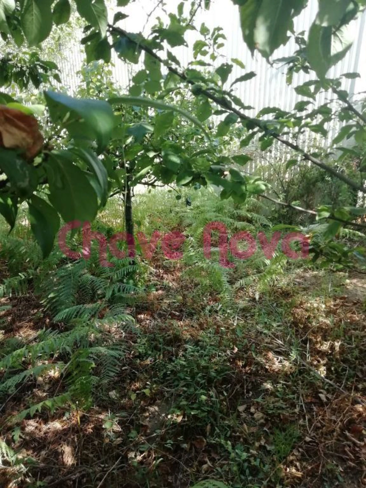 Terreno para Venda em Avintes Foto 2