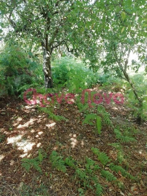 Terreno para Venda em Avintes