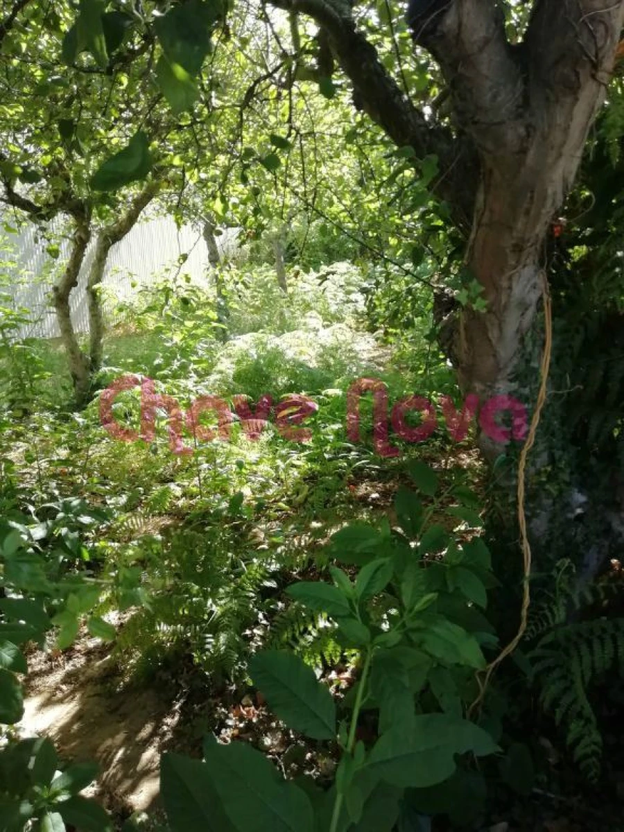 Terreno para Venda em Avintes Foto 4