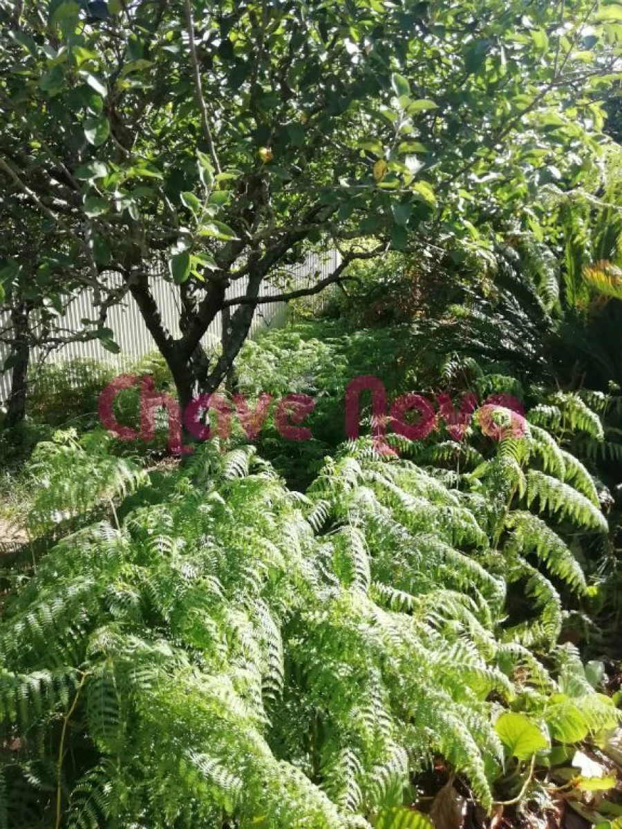 Terreno para Venda em Avintes Foto 6