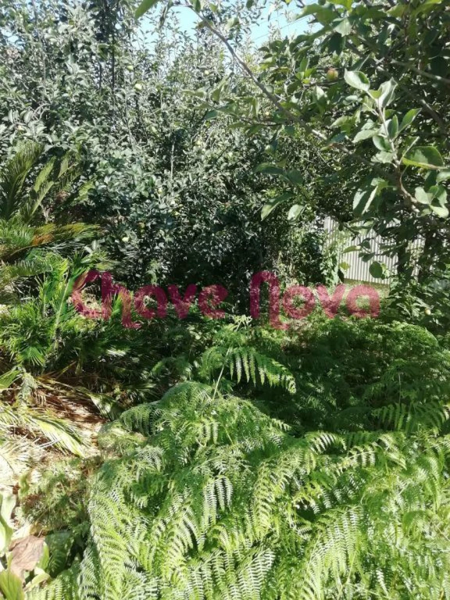 Terreno para Venda em Avintes Foto 7