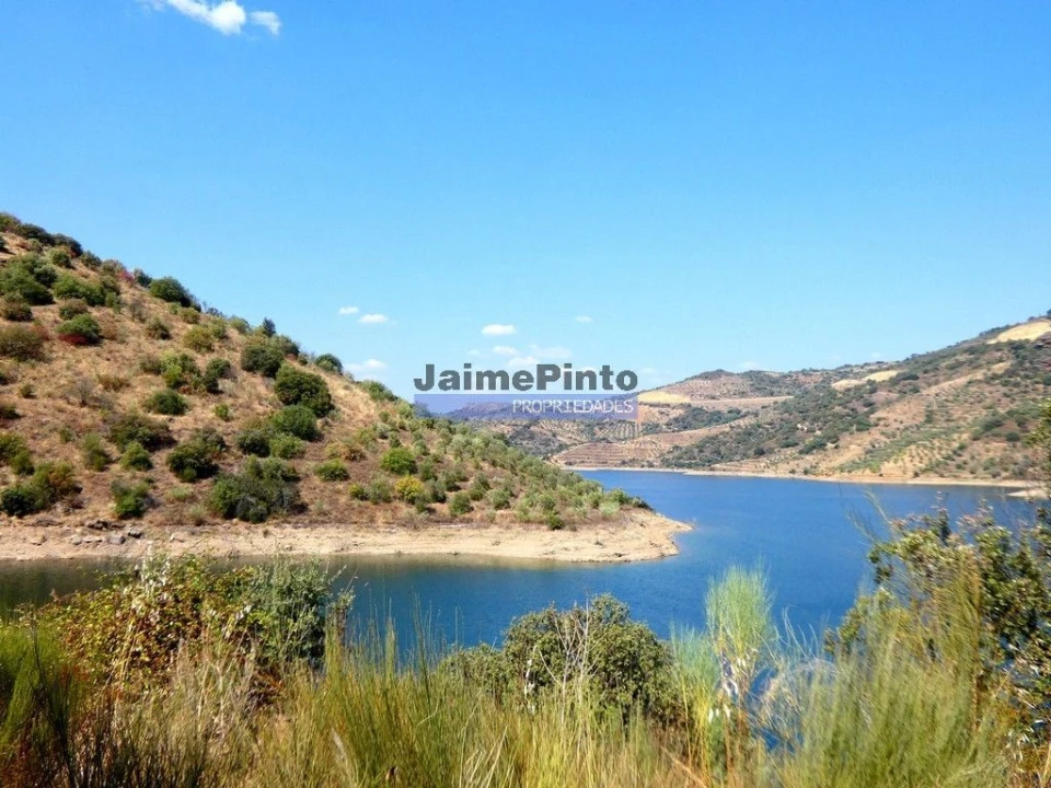 Terreno Agricola ou Rústico para Venda em Alfandega da Fe Foto 5