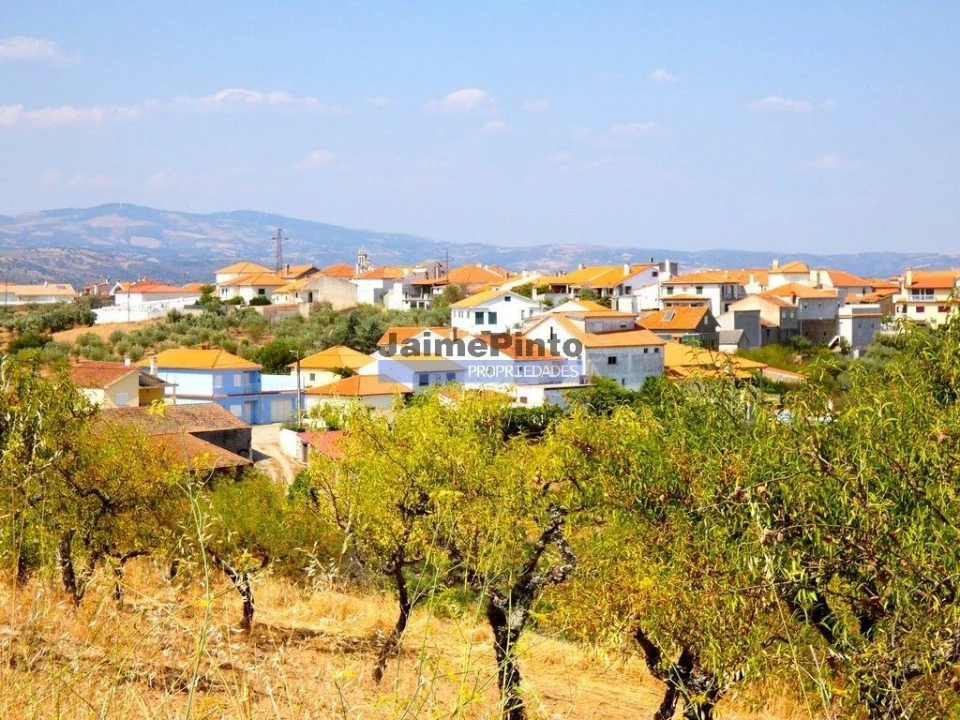 Terreno Agricola ou Rústico para Venda em Alfandega da Fe Foto 9