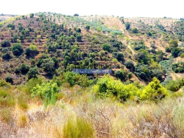 Terreno Agricola ou Rústico para Venda em Alfandega da Fe