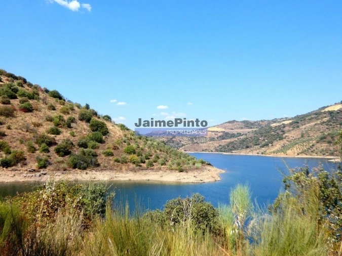 Terreno Agricola ou Rústico para Venda em Alfandega da Fe Foto 5