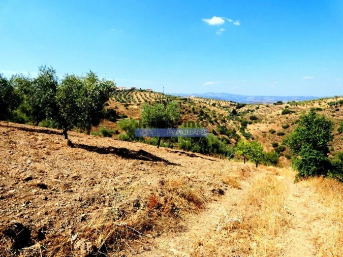 Terreno Agricola ou Rústico para Venda em Alfandega da Fe Foto 6