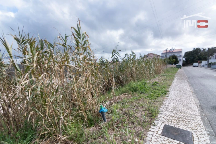Terreno para Venda em Nossa Senhora da Piedade Foto 6