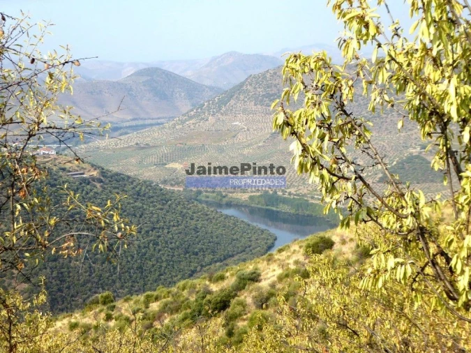 Moradia T4 para Venda em Poiares Foto 2