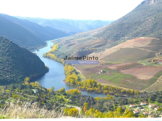 Moradia T4 para Venda em Poiares Foto 5