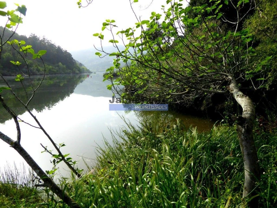 Terreno para Venda em Alpendorada, Várzea e Torrão Foto 2