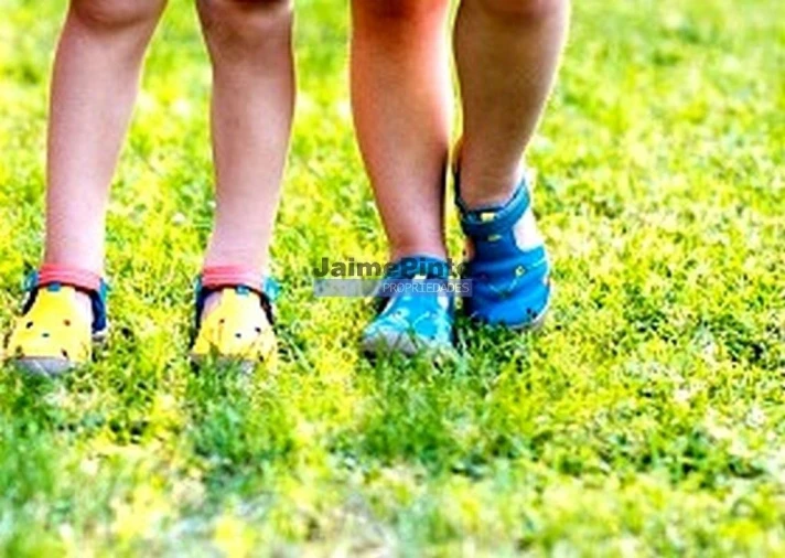 Armazém para Venda em Idães Foto 5