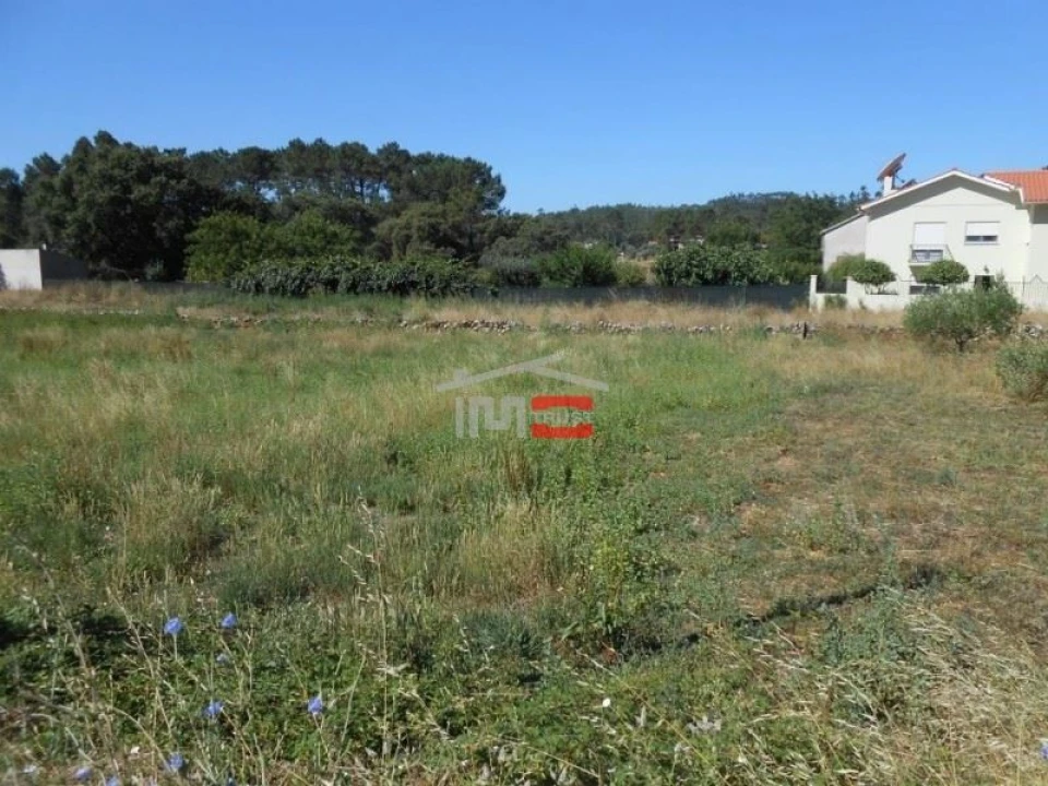 Terreno Misto para Venda em São Mamede Foto 5