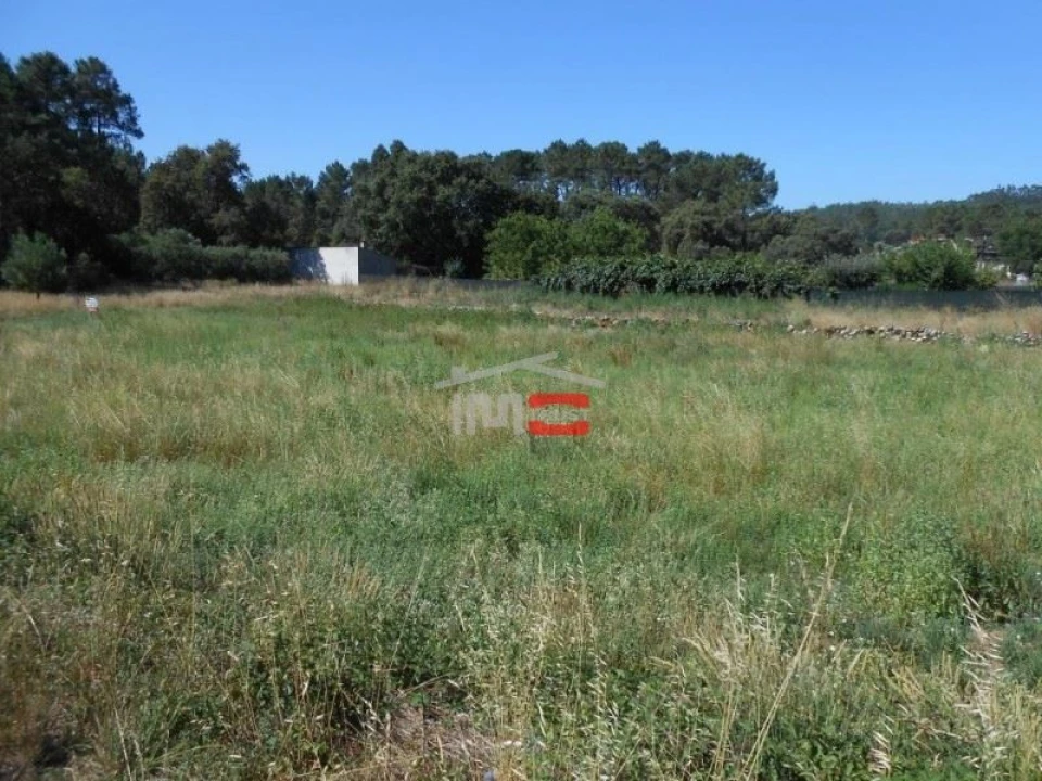 Terreno Misto para Venda em São Mamede Foto 7