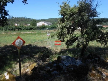 Terreno Misto para Venda em São Mamede