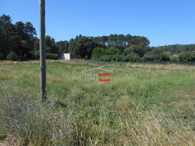 Terreno Misto para Venda em São Mamede Foto 4