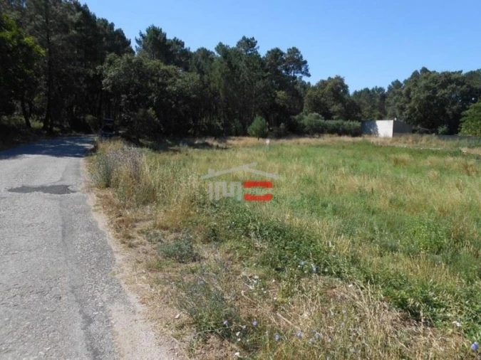 Terreno Misto para Venda em São Mamede Foto 6