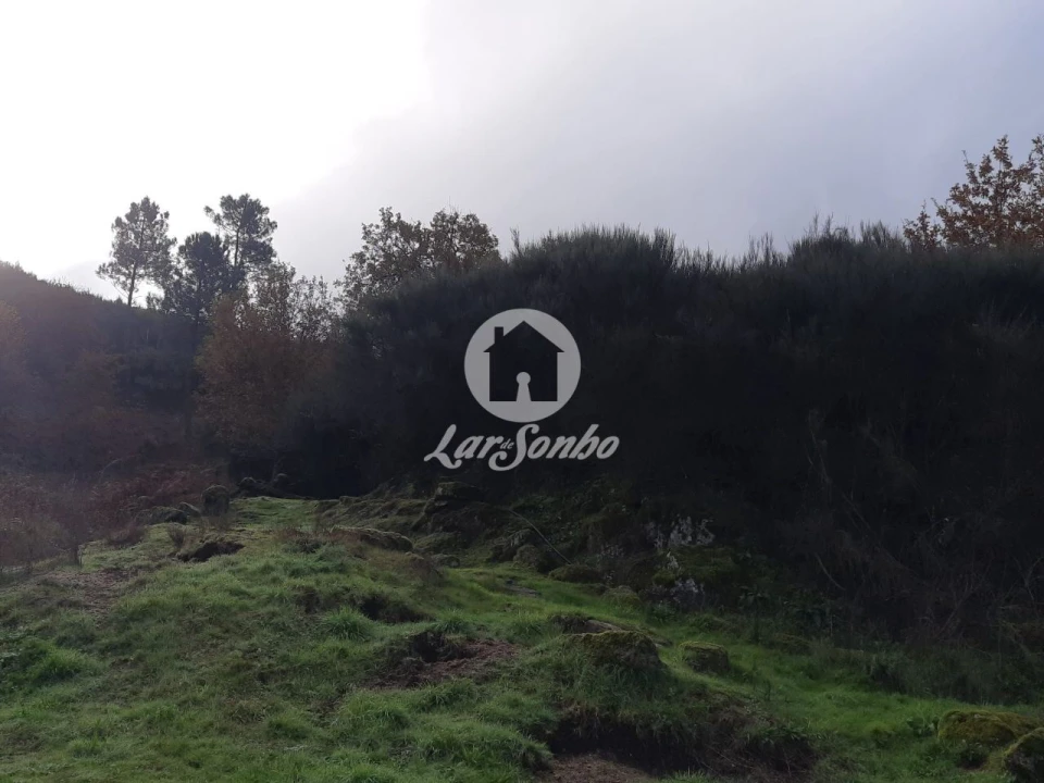 Terreno Agricola ou Rústico para Venda em Ribas Foto 2