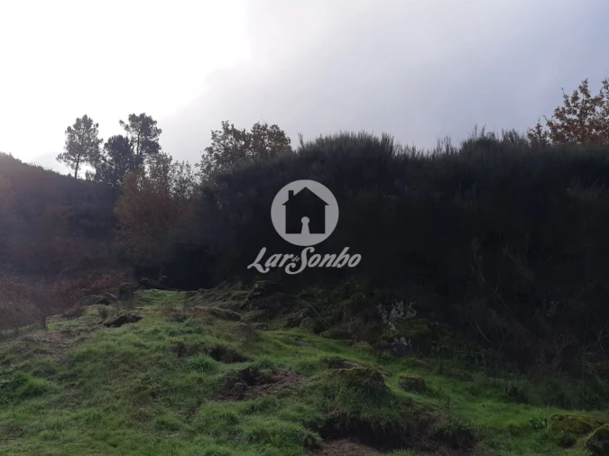 Terreno Agricola ou Rústico para Venda em Ribas Foto 2