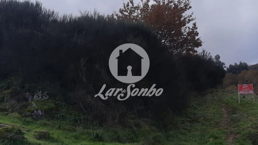Terreno Agricola ou Rústico para Venda em Ribas