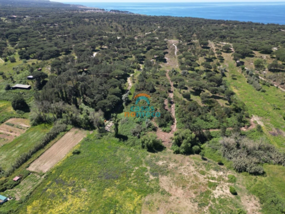 Terreno Agricola ou Rústico para Venda em Sesimbra (Castelo) Foto 3