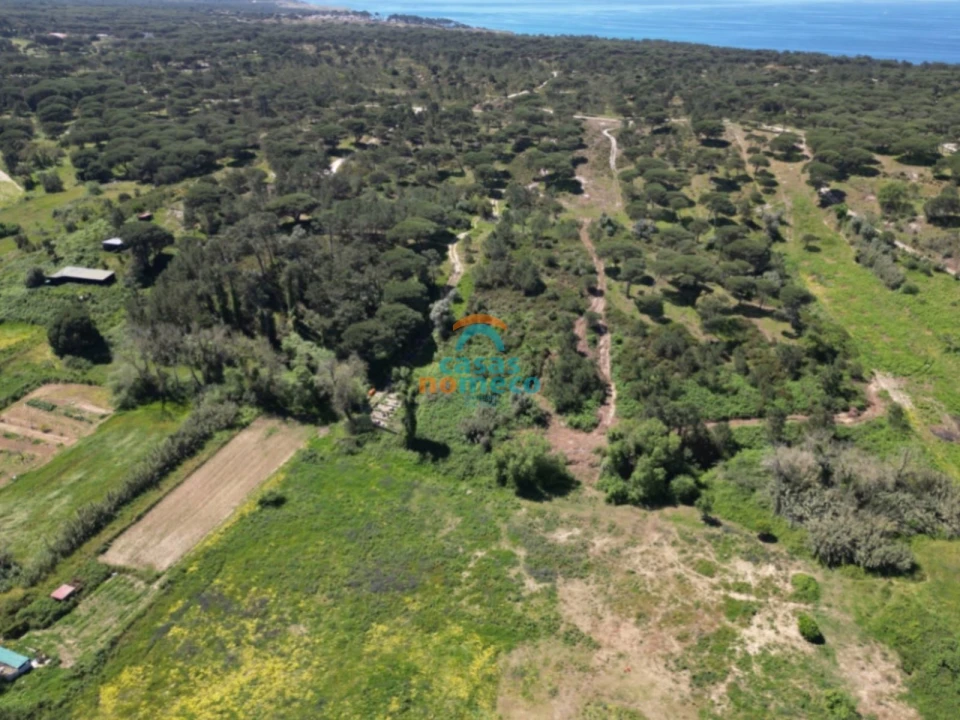 Terreno Agricola ou Rústico para Venda em Sesimbra (Castelo) Foto 8