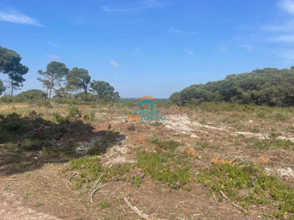 Terreno Agricola ou Rústico para Venda em Sesimbra (Castelo) Foto 11