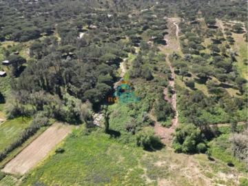 Terreno Agricola ou Rústico para Venda em Sesimbra (Castelo)