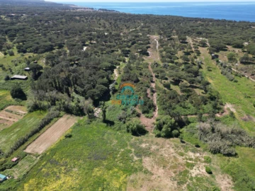 Terreno Agricola ou Rústico para Venda em Sesimbra (Castelo)