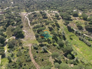 Terreno Agricola ou Rústico para Venda em Sesimbra (Castelo)