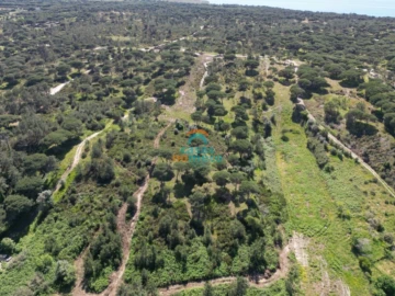 Terreno Agricola ou Rústico para Venda em Sesimbra (Castelo)